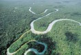 /album/bolivia/selva-amazonica-jpg/